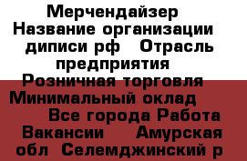 Мерчендайзер › Название организации ­ диписи.рф › Отрасль предприятия ­ Розничная торговля › Минимальный оклад ­ 25 000 - Все города Работа » Вакансии   . Амурская обл.,Селемджинский р-н